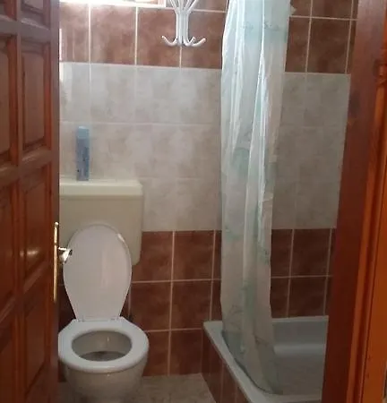 Bodzavirag
