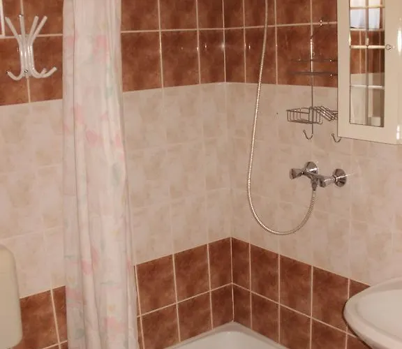 Apartament Bodzavirag