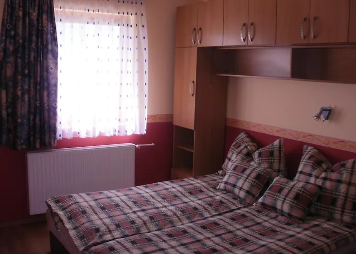 Apartament Bodzavirag *
