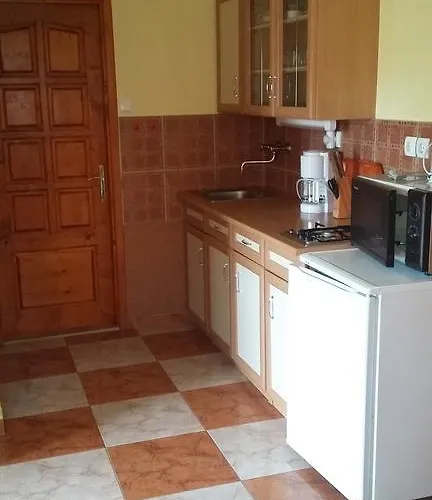 Apartament Bodzavirag *